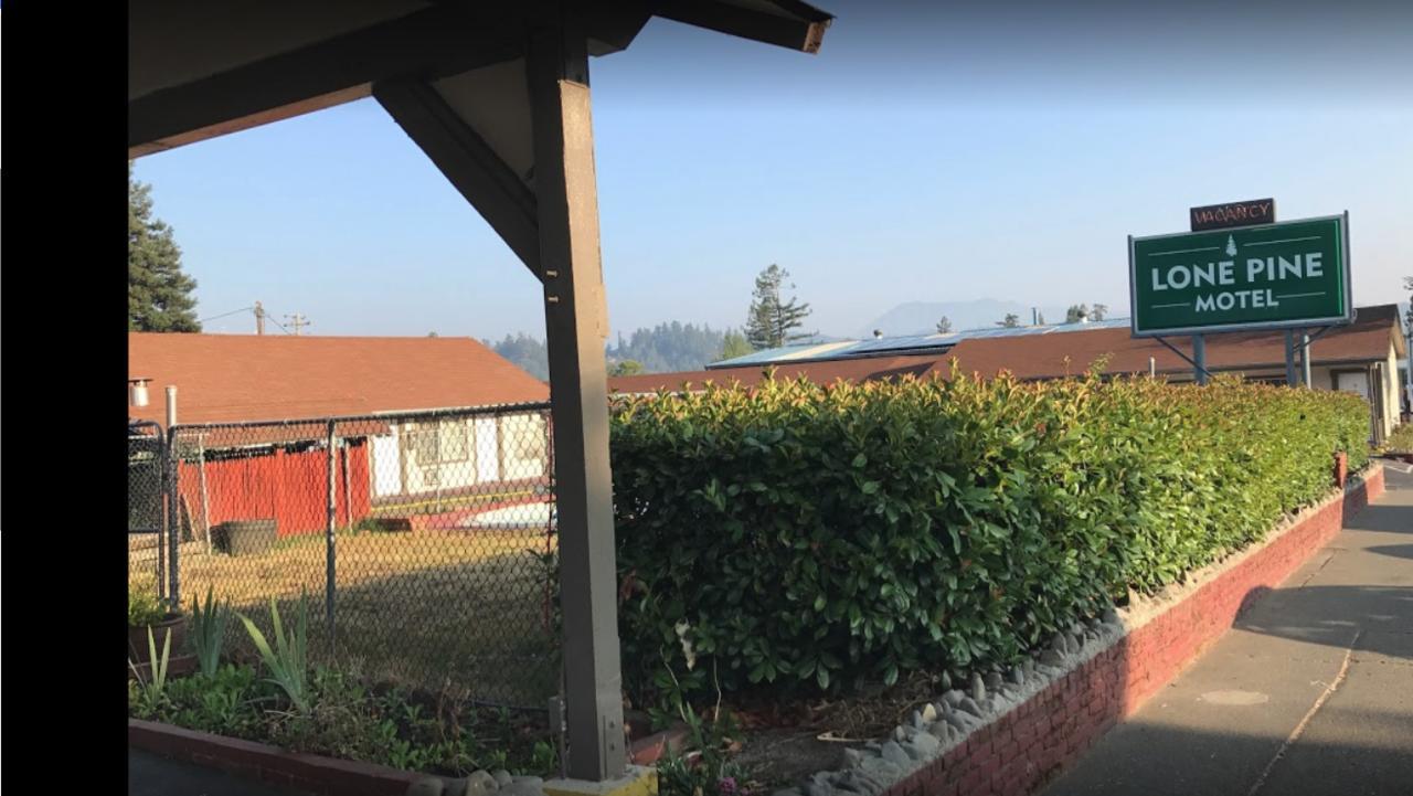 Lone Pine Motel Garberville Ngoại thất bức ảnh